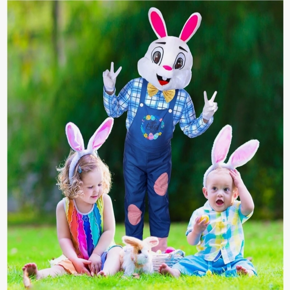 Peter Rabbit Costume - Picture 4 of 7